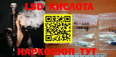эйфоретик Кингисепп